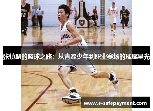 张镇麟的篮球之路：从青涩少年到职业赛场的璀璨星光